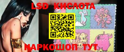 a pvp Новодвинск