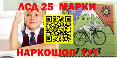 a pvp Новодвинск