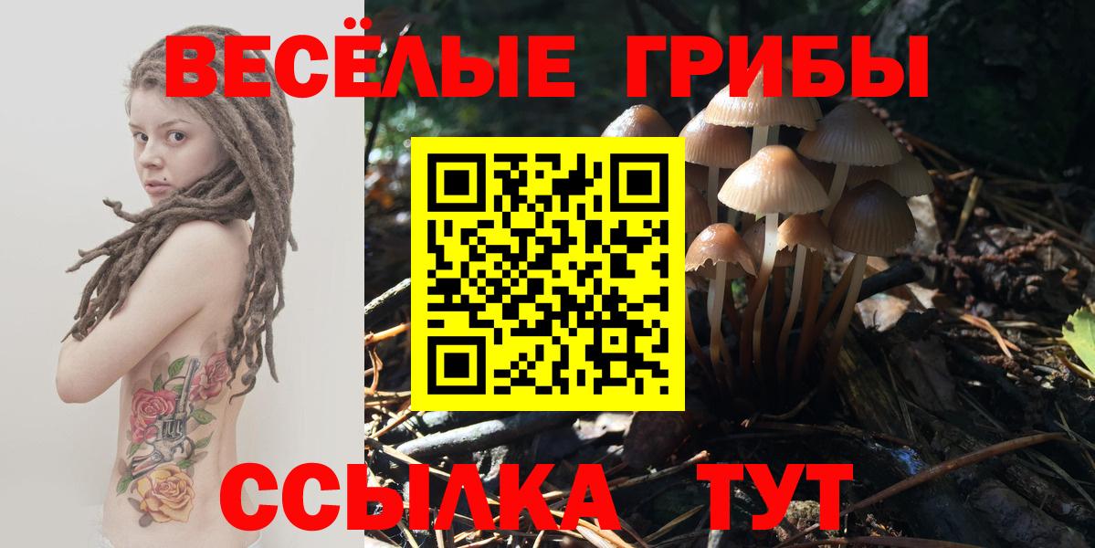 Псилоцибиновые грибы MAGIC MUSHROOMS Ростов Великий